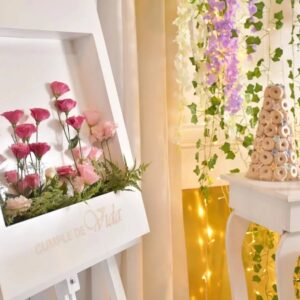 chikispa galeria77803_1449994589230411_1992403997563662228_n